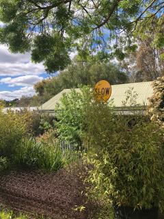 Bird Haven Central Castlemaine - Castlemaine - 7