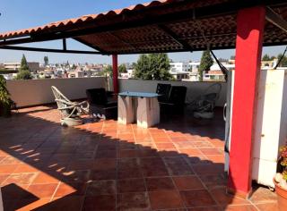 Departamento con terraza verde - Cholula - 7
