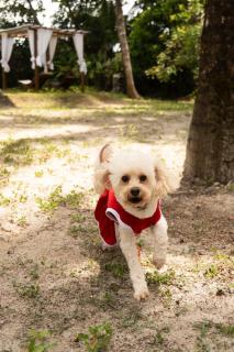 Canto Leela Eco Bungalows - 3