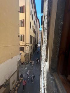 Cimatori 2 in 1 - Florence - 6