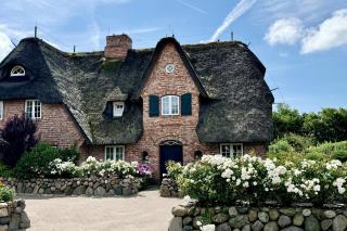 LITZKOW 15003 - Morsum - 0