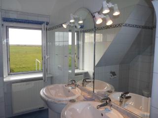 LITZKOW 16701 - Archsum - 3