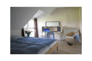 in La Fontenelle, Cuisery - Cuisery - 5