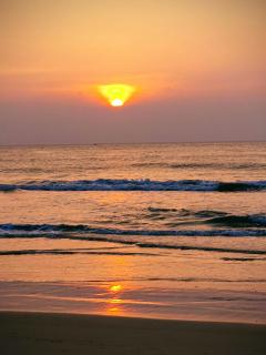 Curly Hostel Negombo - 1