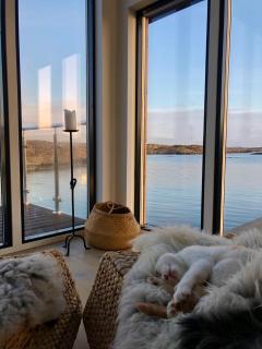 Modern seaside holiday home - 1