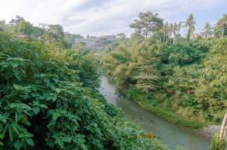 Ubud 3 bedrooms with river view - Ubud - 1