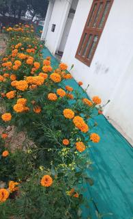 Triveni Vihar Homestay s1 - Allahābād - 8