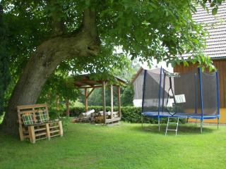 Holiday apartment near the forest in Lichtenhain - Sebnitz - 9