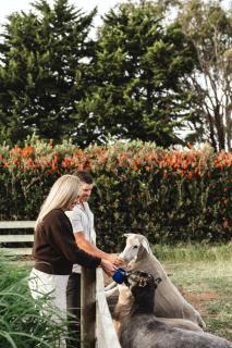 Kookaburra Cottage - 10 minutes from Mount Gambier CBD - Yahl - 7