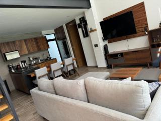 Residencial entre Viñedos - Tequisquiapan - 5