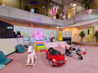 Ikaho no mori Kids Paradise - 8