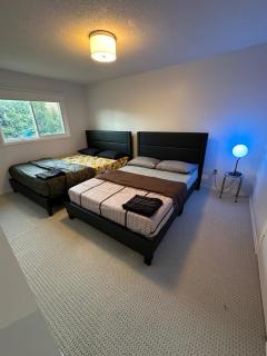 Missisauaga Budget BNB - Mississauga - 3