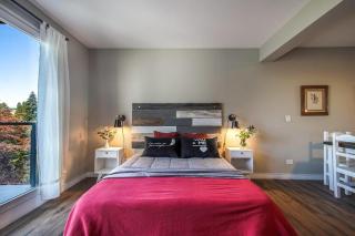 A12 - Elegante y Confortable Estudio - Bariloche - 3