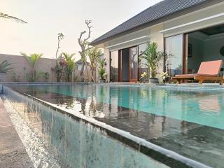 2BR Ubud private pool kitchen - 0