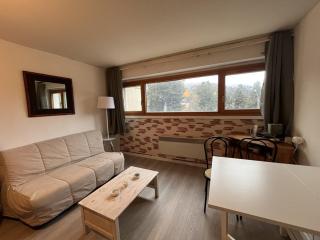 Studio 3 personnes en station avec parking couvert - FR-1-787-115 - Laveissière - 0