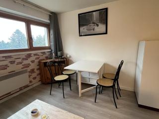 Studio 3 personnes en station avec parking couvert - FR-1-787-115 - Laveissière - 7
