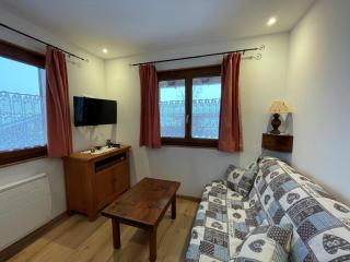 Appartement cosy 4 pers, centre Cernix, proche pistes, wifi, parking, animal admis - FR-1-733-164 - Crest-Voland - 8