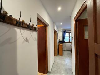 Appartement cosy 4 pers, centre Cernix, proche pistes, wifi, parking, animal admis - FR-1-733-164 - Crest-Voland - 6