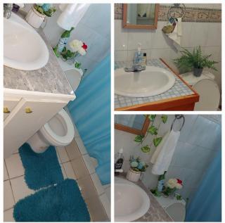 Peaceful Nest Apt 1 - Roseau - 5