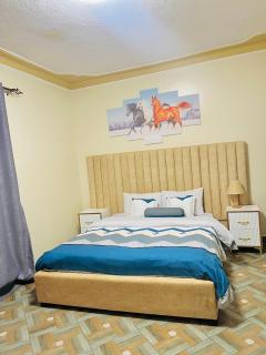 Cosy Furnished Home - Kampala - 9