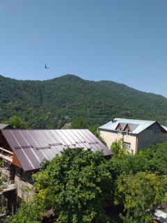 Taqnvac hrashq - Dilijan - 6