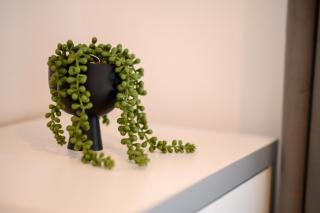 Chic 1BR with Balcony in Northern District - 3