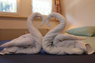 Ferienwohnung Wehra in Todtmoos - Todtmoos - 2