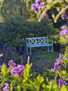 Vibrant & Vintage B & B - - 9