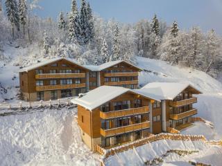Chalet in Wagrain near Flying Mozart cable - Wagrain - 0