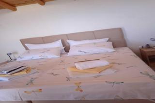 Holiday Home Zule - One Bedroom Holiday Home with Swimming pool - Žrnovo - 3