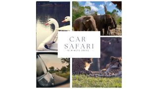 Newly renovated with fast WiFi, near Poppodium013 - 3