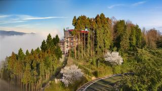 Summit Sherpa Mountain Hotel & Spa - Kalimpong - 0