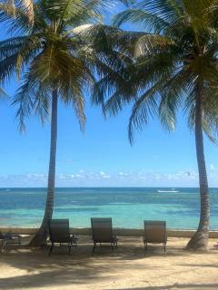 Le cottage de castaing sur plage privée - Sainte-Anne - 9