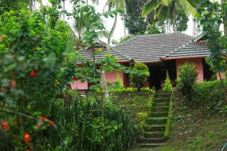 Coffee island resort - Kaniyāmbetta - 4