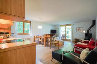 Chalet Luise 3 - Wengen - 1