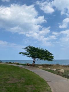 Sifah seaCottage - Mascate - 2