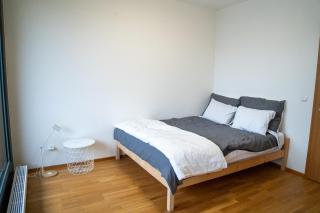 Modern Apt with Own Parking - Prague - 7