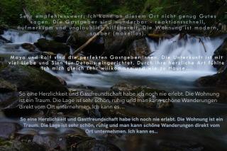 Ferienwohnung Ausspannen und Geniessen - Engi - 8