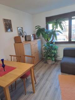 Beste Lage in Tiengen West - Waldshut-Tiengen - 2
