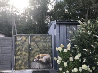 Naturferienhaus Klein Rosenburg für 2 Personen - Klein Rosenburg - 9