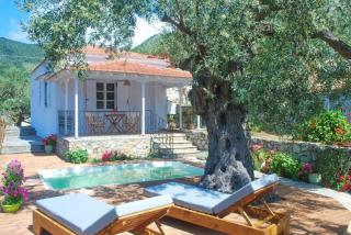 Neptune - Città di Alonissos - 9
