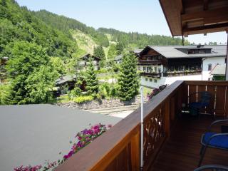 Appartements Schmidsendl - 4