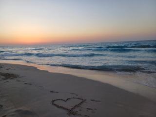 جليم الإسكندرية - 3