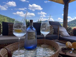 Ciumarna Holiday House - Vatra Moldoviţei - 1