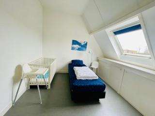 Lamsoor 14* - Nieuwvliet - 1