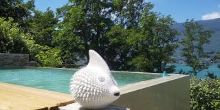 Tiny-Pool-Lake - Viviers-du-Lac - 2