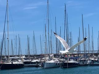 Master&Commander - Valencia - 7