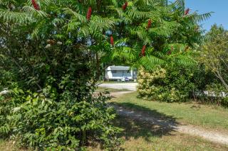 Camping Le Plan d'Eau - Saint-Yrieix-sur-Charente - 7