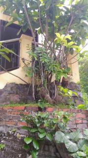 Căn hộ có 2 phòng ngủ - 2