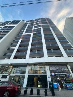 Almare - by Continental - Batumi - 0